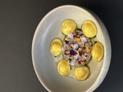 Гастрономия, образование и иновации: Gourmet Fest Varna 2026 събра бъдещето на българската к... 9