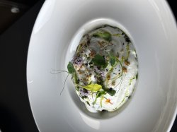 Гастрономия, образование и иновации: Gourmet Fest Varna 2026 събра бъдещето на българската к... 7
