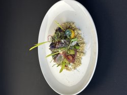 Гастрономия, образование и иновации: Gourmet Fest Varna 2026 събра бъдещето на българската к... 8