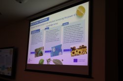 Global Strategies Unveiled: ICEBM 2025 at the University of Economics – Varna Drives Future-... 13