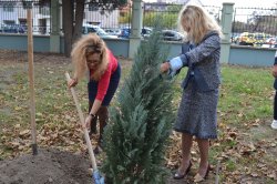 Засадиха дърво послучай 60-годишнината от основаването на Колежа по туризъм – Варна 

